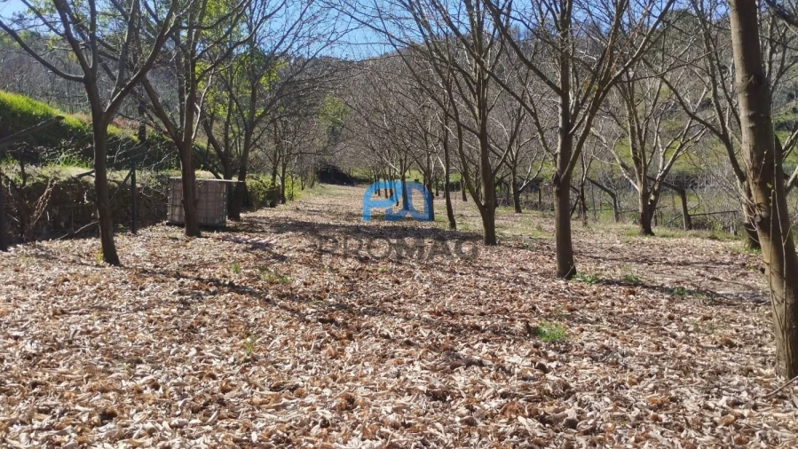 Quinta T2 para Venda em Resende Foto 42