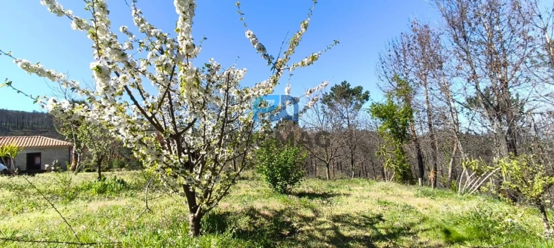 Quinta T2 para Venda em Resende Foto 45