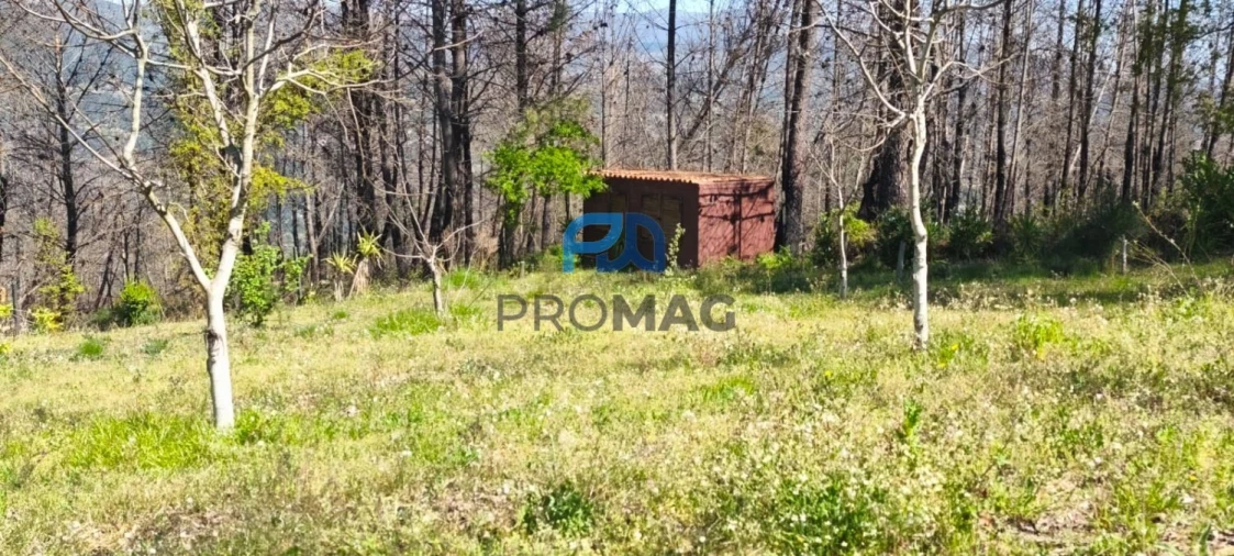 Quinta T2 para Venda em Resende Foto 5