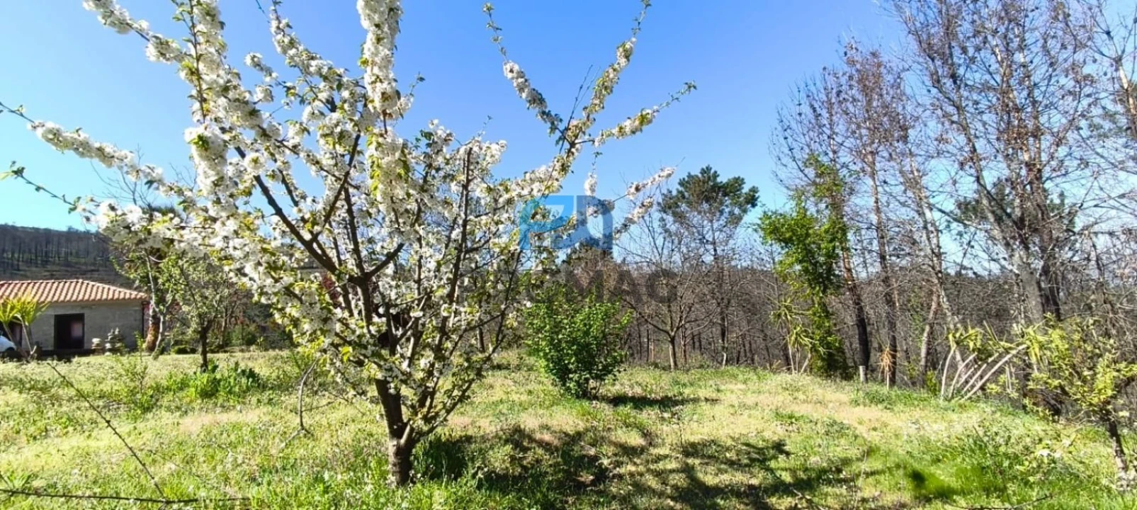 Quinta T2 para Venda em Resende Foto 45