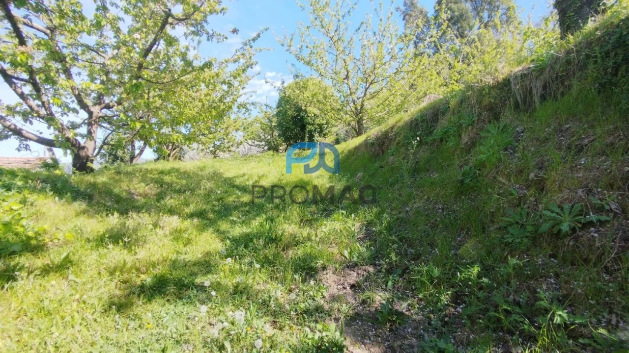 Quinta T0 para Venda em Barro Foto 3