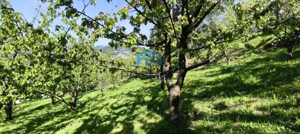 Quinta T0 para Venda em Barro