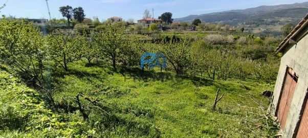 Quinta T0 para Venda em Barro