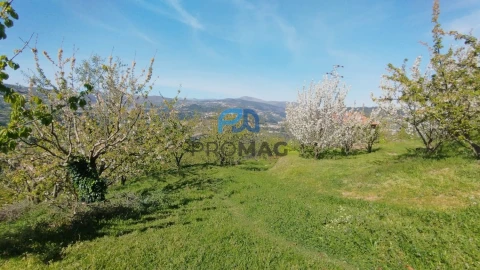 Quinta T0 para Venda em Barro