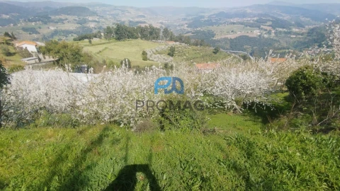 Quinta T0 para Venda em Barro