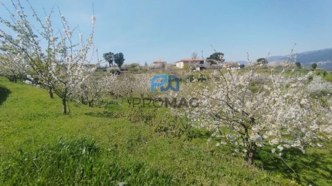Quinta T0 para Venda em Barro