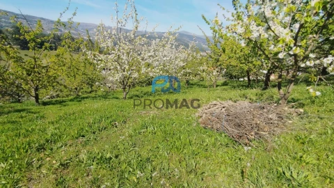 Quinta T0 para Venda em Barro