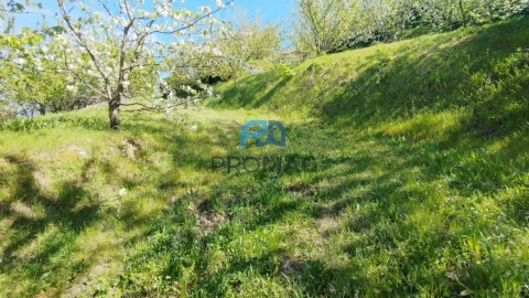 Quinta T0 para Venda em Barro