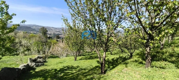 Quinta T0 para Venda em Barro