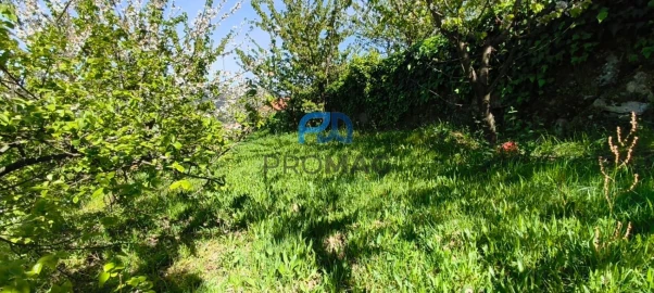 Quinta T0 para Venda em Barro