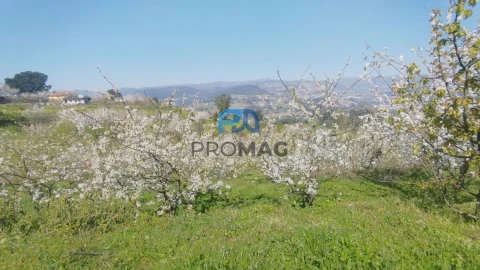 Quinta T0 para Venda em Barro