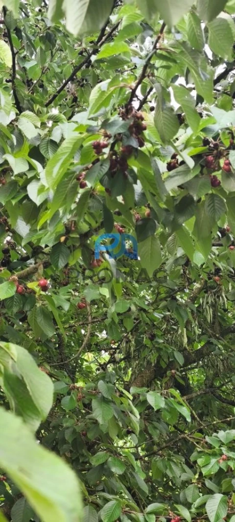 Quinta T1 para Venda em Resende