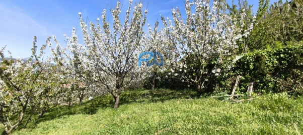 Quinta T0 para Venda em Barro