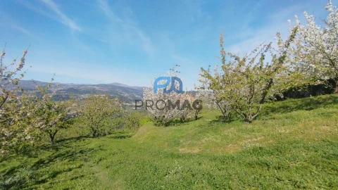 Quinta T0 para Venda em Barro