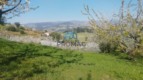 Quinta T0 para Venda em Barro