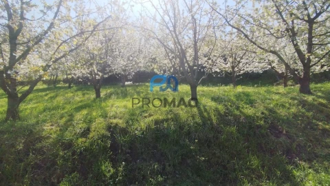 Quinta T0 para Venda em Barro