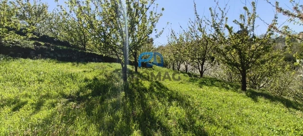 Quinta T0 para Venda em Barro