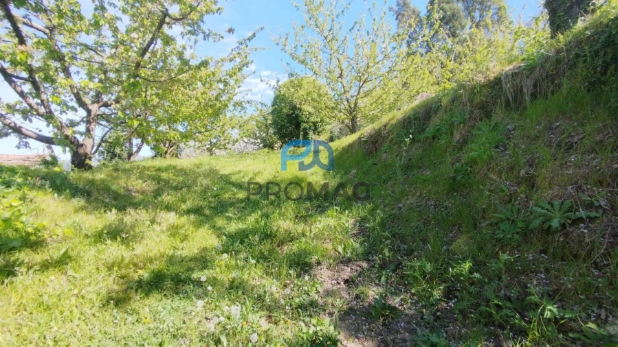 Quinta T0 para Venda em Barro Foto 3