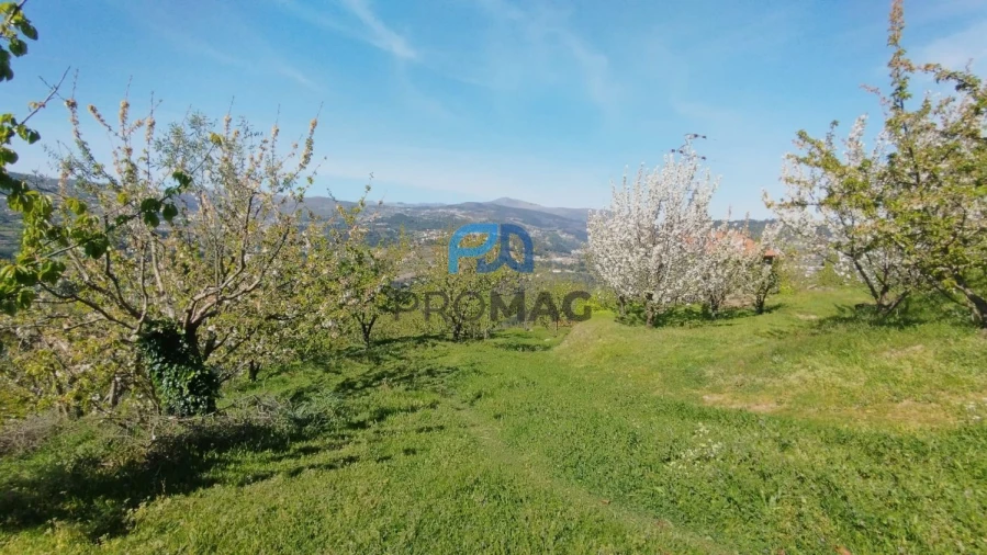 Quinta T0 para Venda em Barro Foto 53