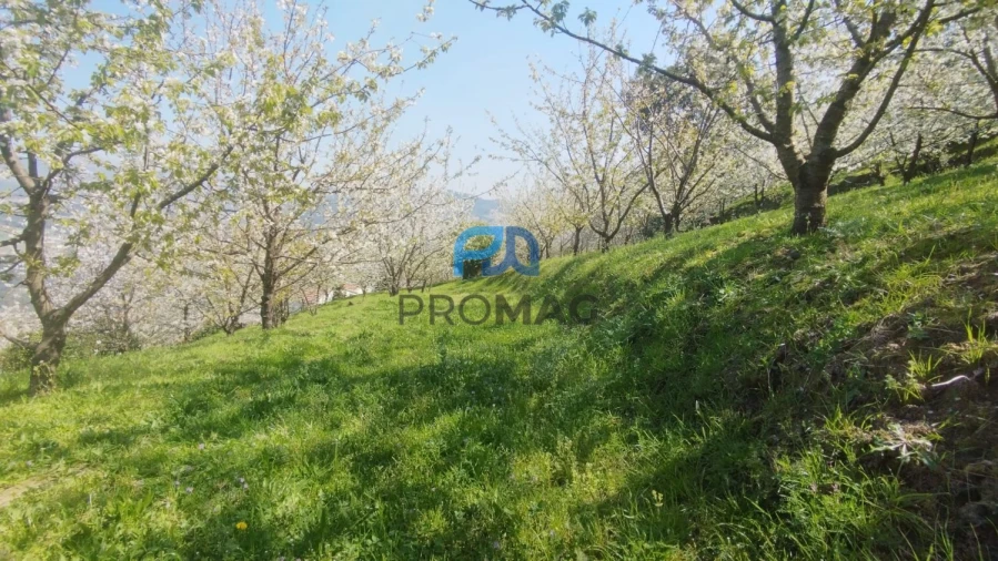 Quinta T0 para Venda em Barro Foto 4