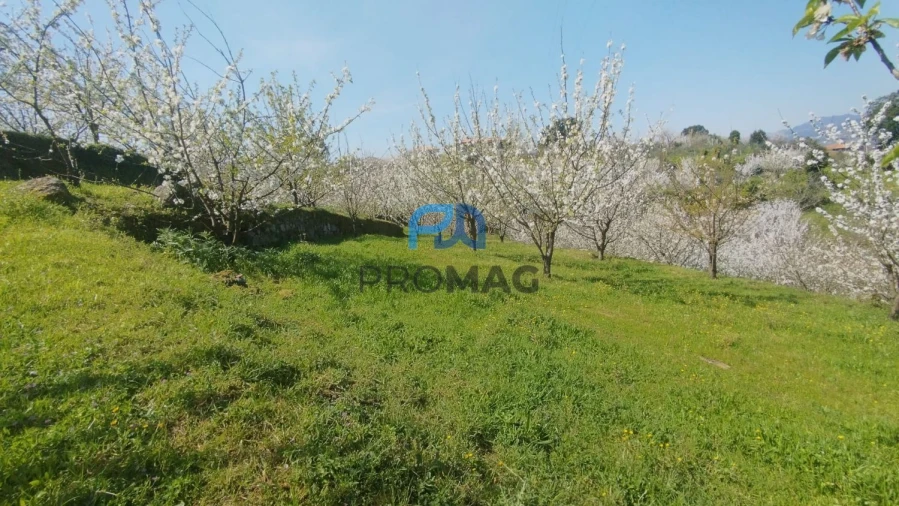 Quinta T0 para Venda em Barro Foto 6