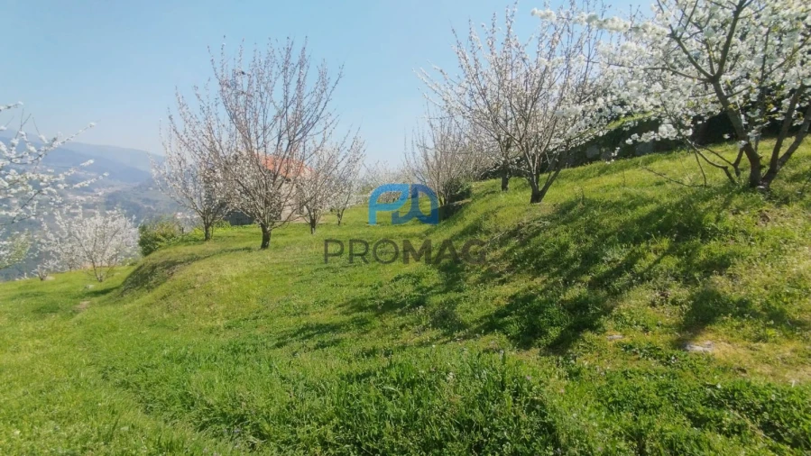 Quinta T0 para Venda em Barro Foto 18