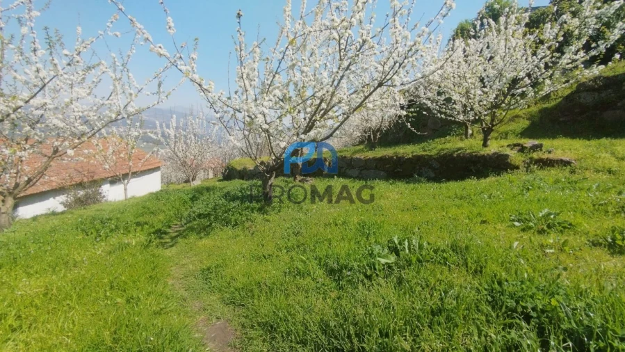 Quinta T0 para Venda em Barro Foto 20