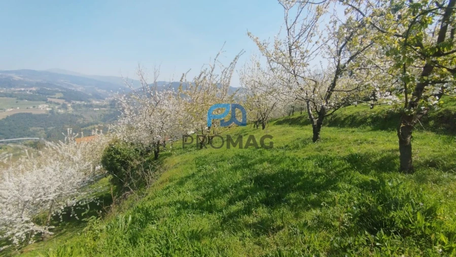 Quinta T0 para Venda em Barro Foto 51
