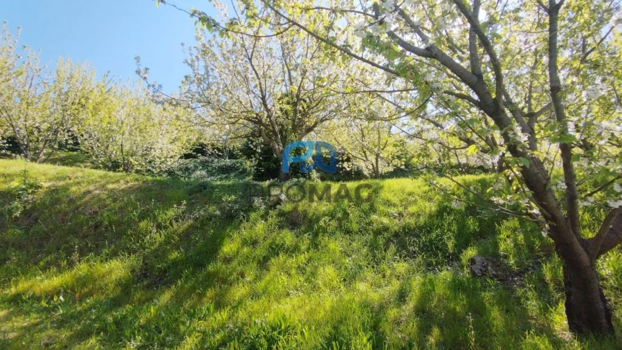 Quinta T0 para Venda em Barro Foto 48
