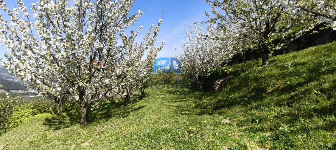 Quinta T0 para Venda em Barro Foto 17