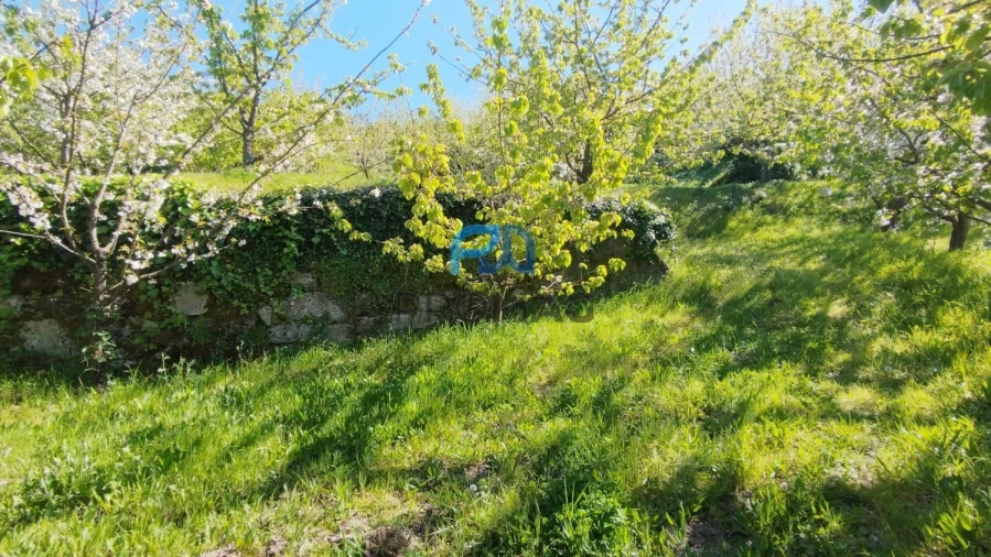 Quinta T0 para Venda em Barro Foto 16