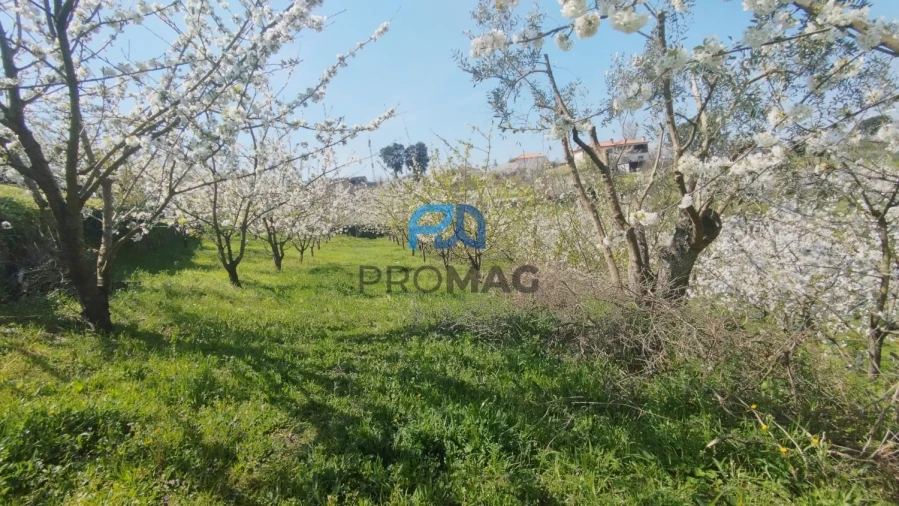 Quinta T0 para Venda em Barro Foto 8