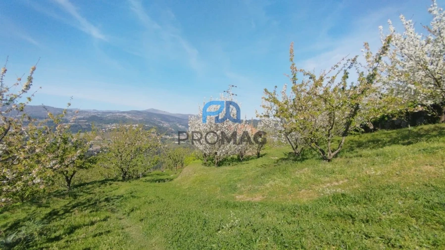 Quinta T0 para Venda em Barro Foto 7