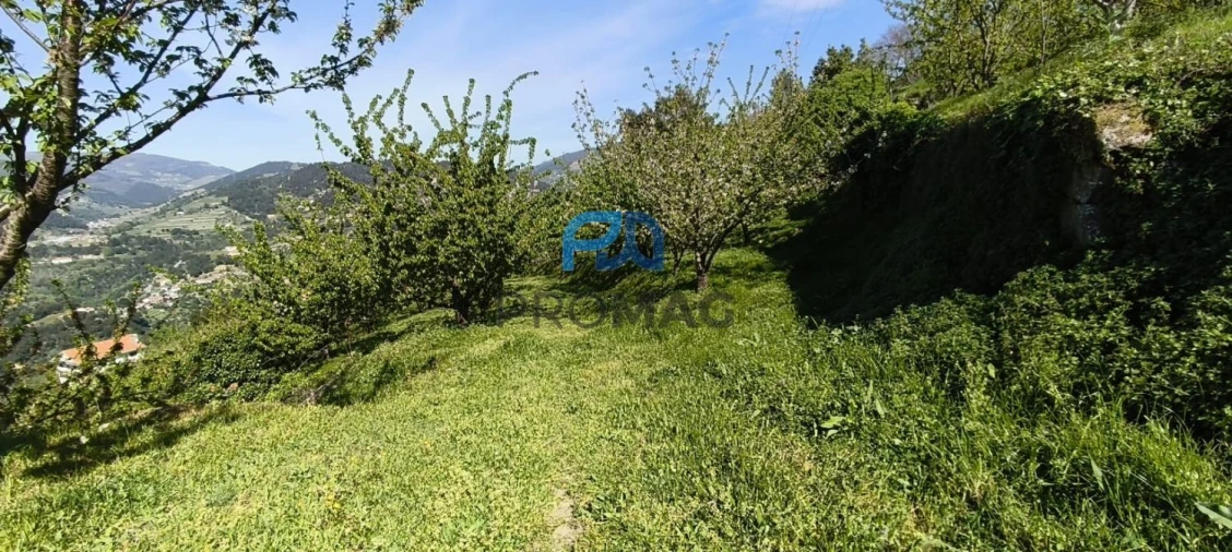 Quinta T0 para Venda em Barro Foto 9