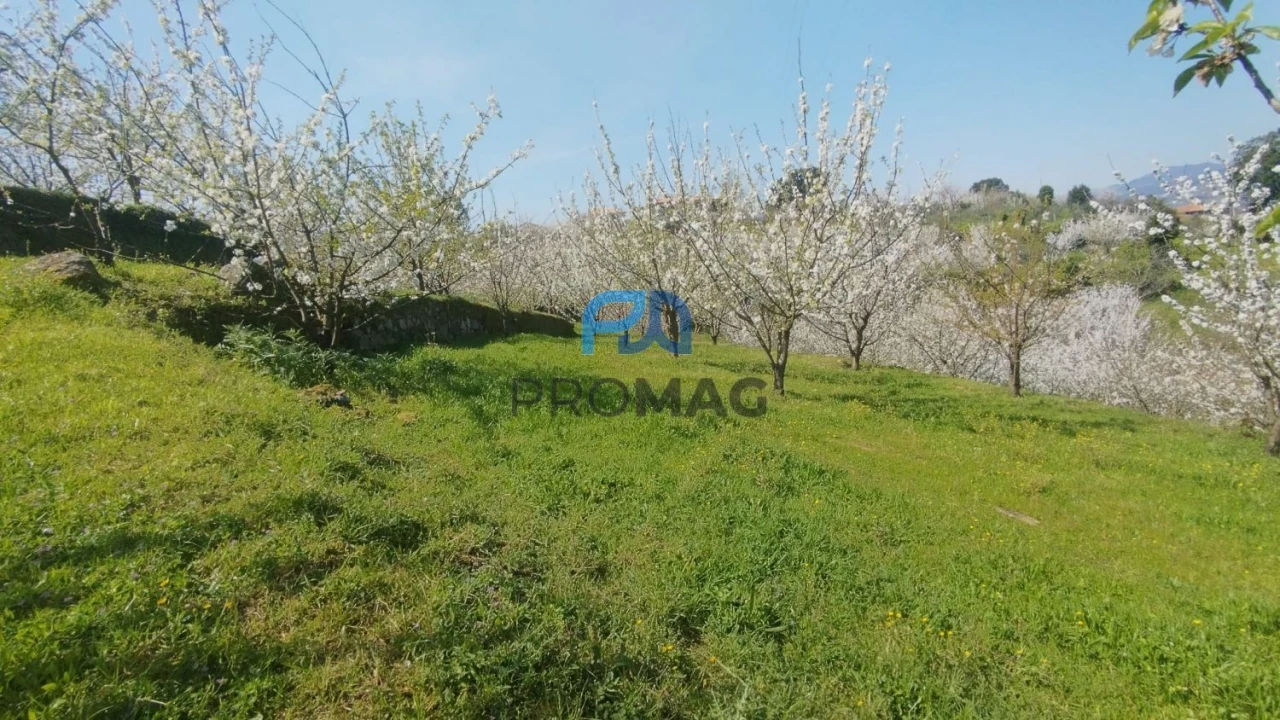 Quinta T0 para Venda em Barro Foto 6