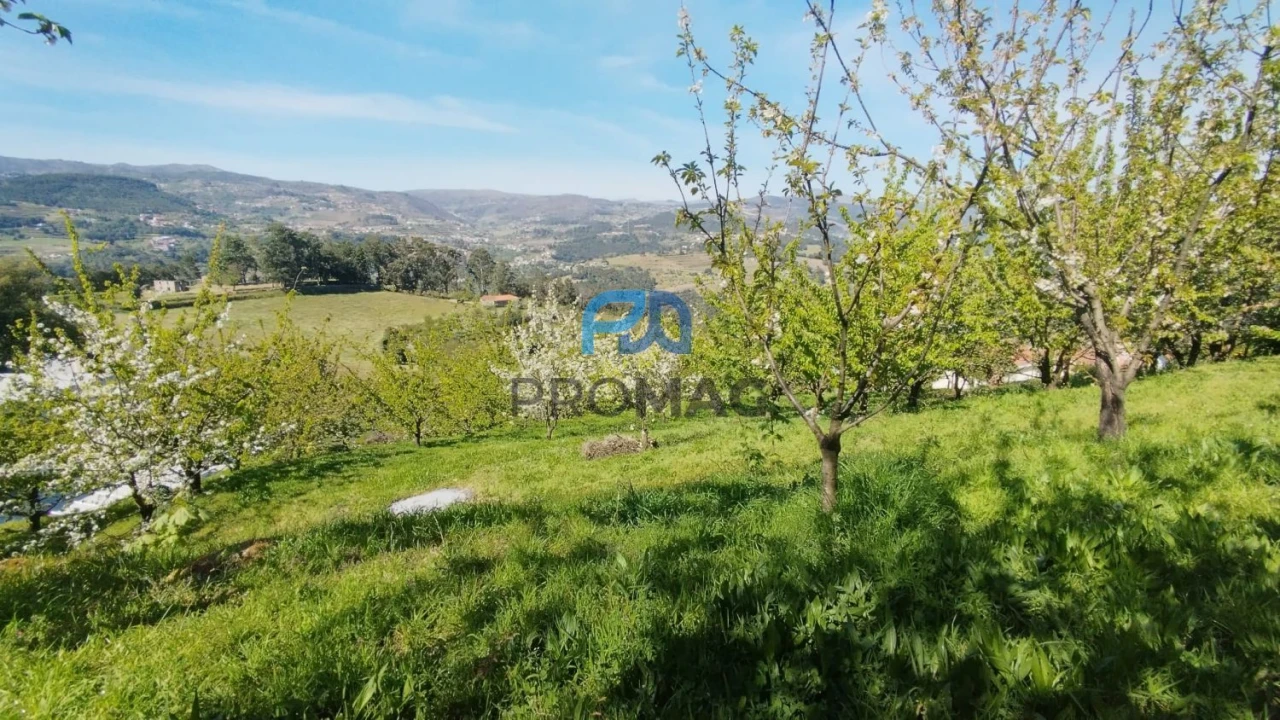 Quinta T0 para Venda em Barro Foto 52