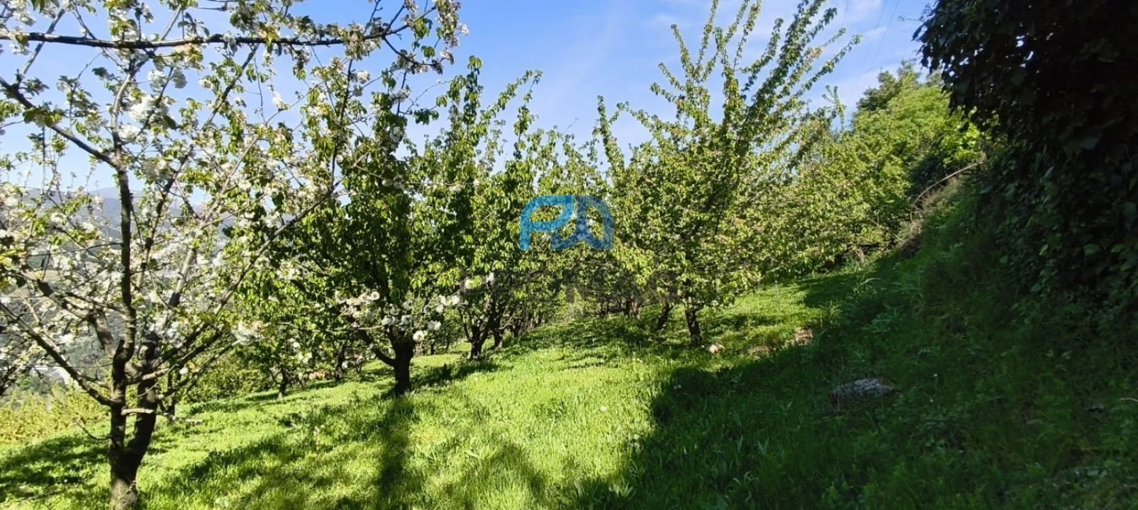 Quinta T0 para Venda em Barro Foto 5