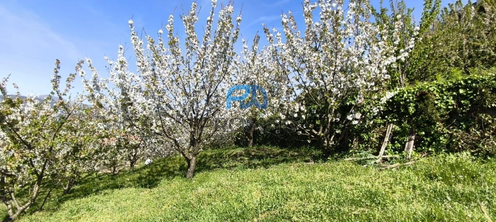 Quinta T0 para Venda em Barro Foto 44