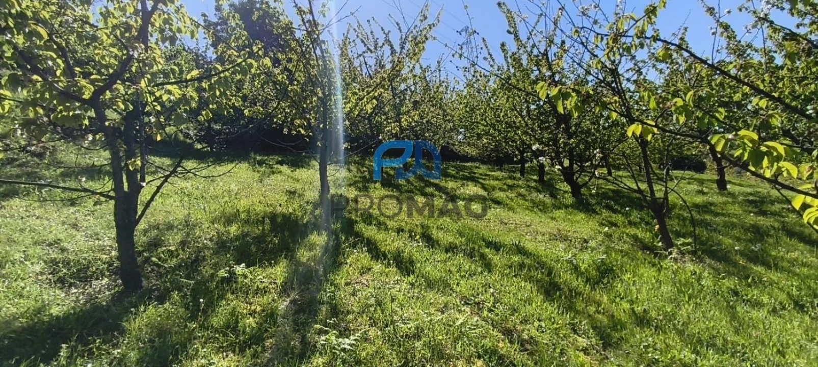 Quinta T0 para Venda em Barro Foto 42