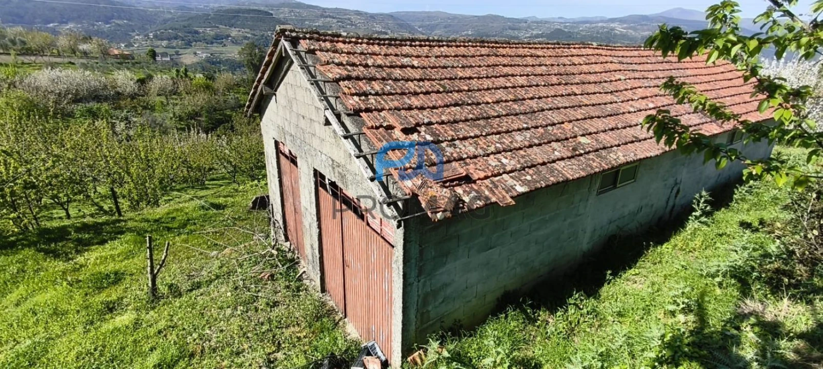 Quinta T0 para Venda em Barro Foto 35