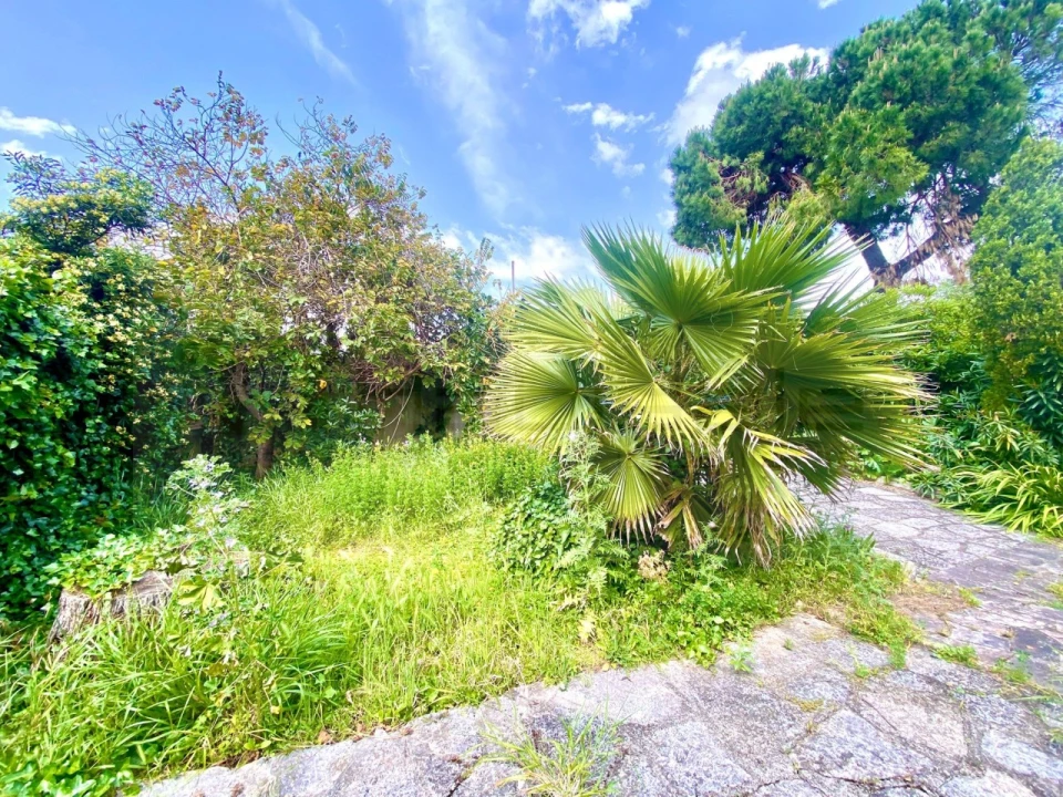 Quinta T4 para Venda em Carcavelos e Parede Foto 16