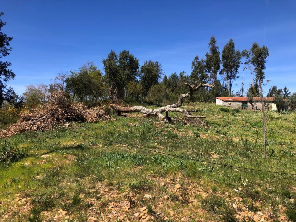 Moradia T3 para Venda em Figueiró dos Vinhos e Bairradas Foto 62