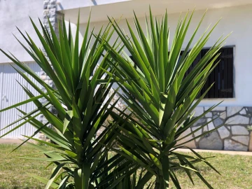 Moradia T3 para Venda em Figueiró dos Vinhos e Bairradas