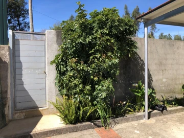 Moradia T3 para Venda em Figueiró dos Vinhos e Bairradas