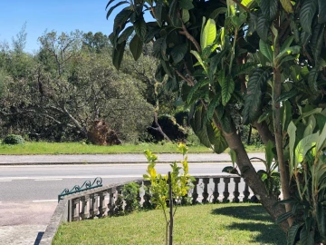 Moradia T3 para Venda em Figueiró dos Vinhos e Bairradas