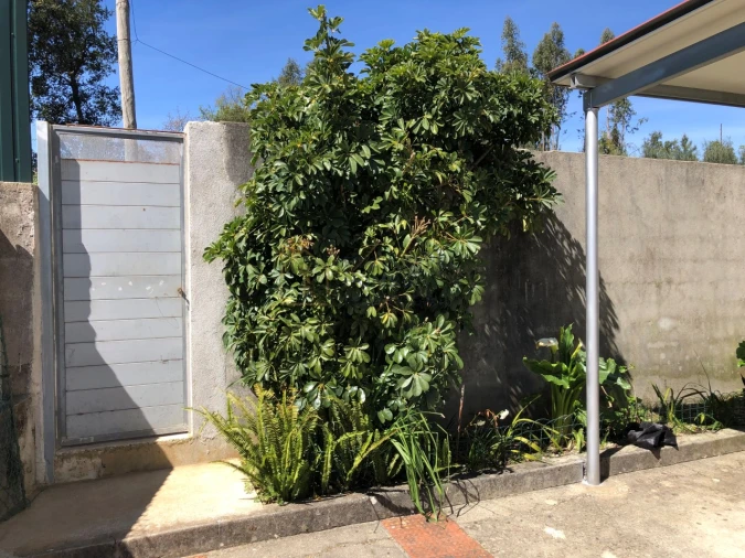 Moradia T3 para Venda em Figueiró dos Vinhos e Bairradas Foto 71