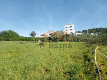 Terreno para Venda em Fanhões