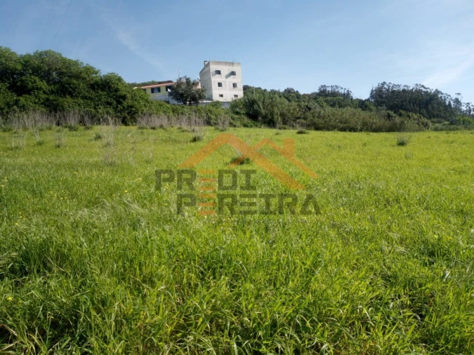 Terreno para Venda em Fanhões Foto 7