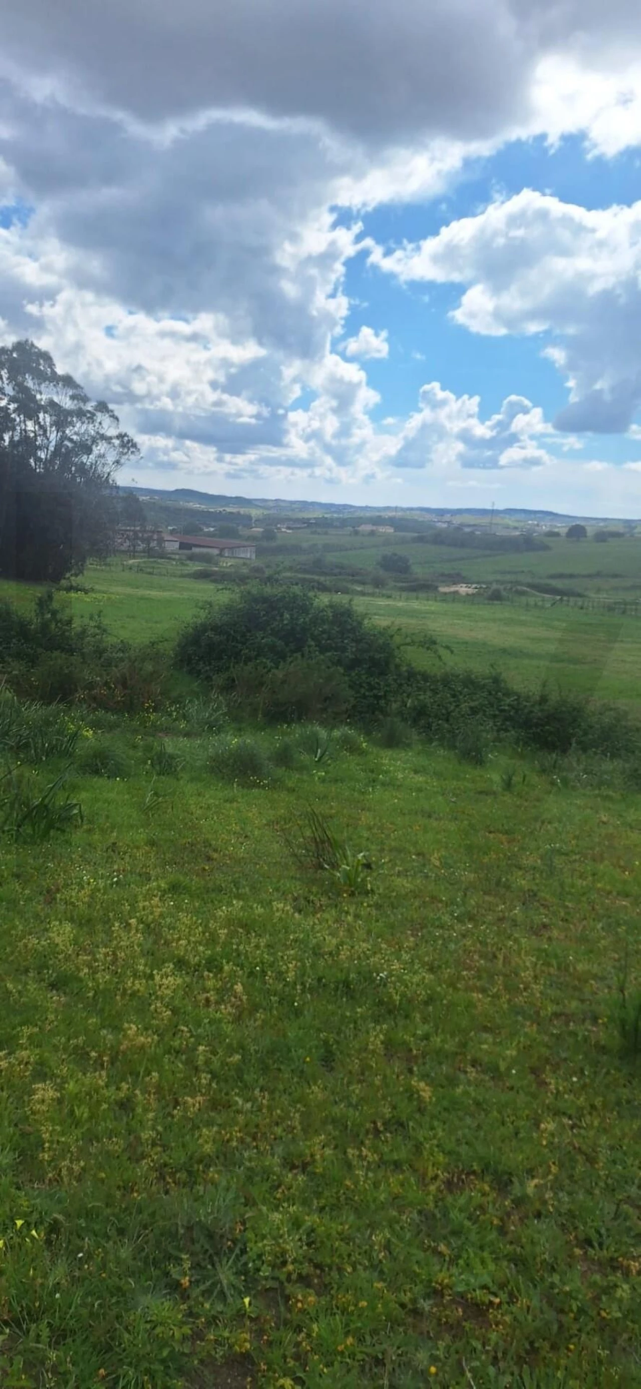 Terreno para Venda em Ponte do Rol Foto 14