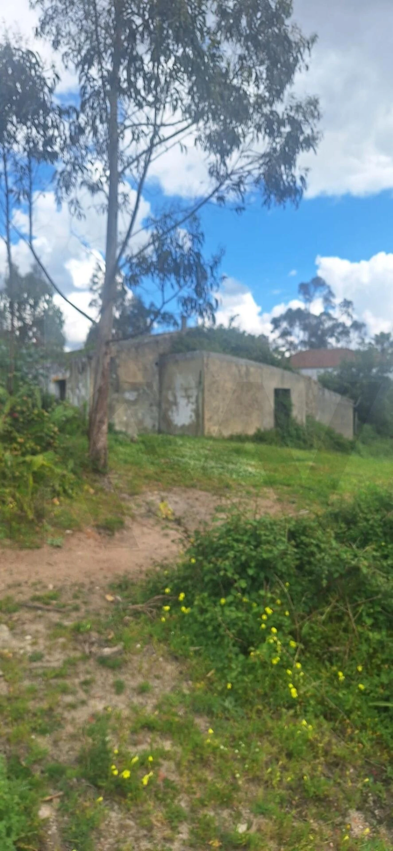 Terreno para Venda em Ponte do Rol Foto 17